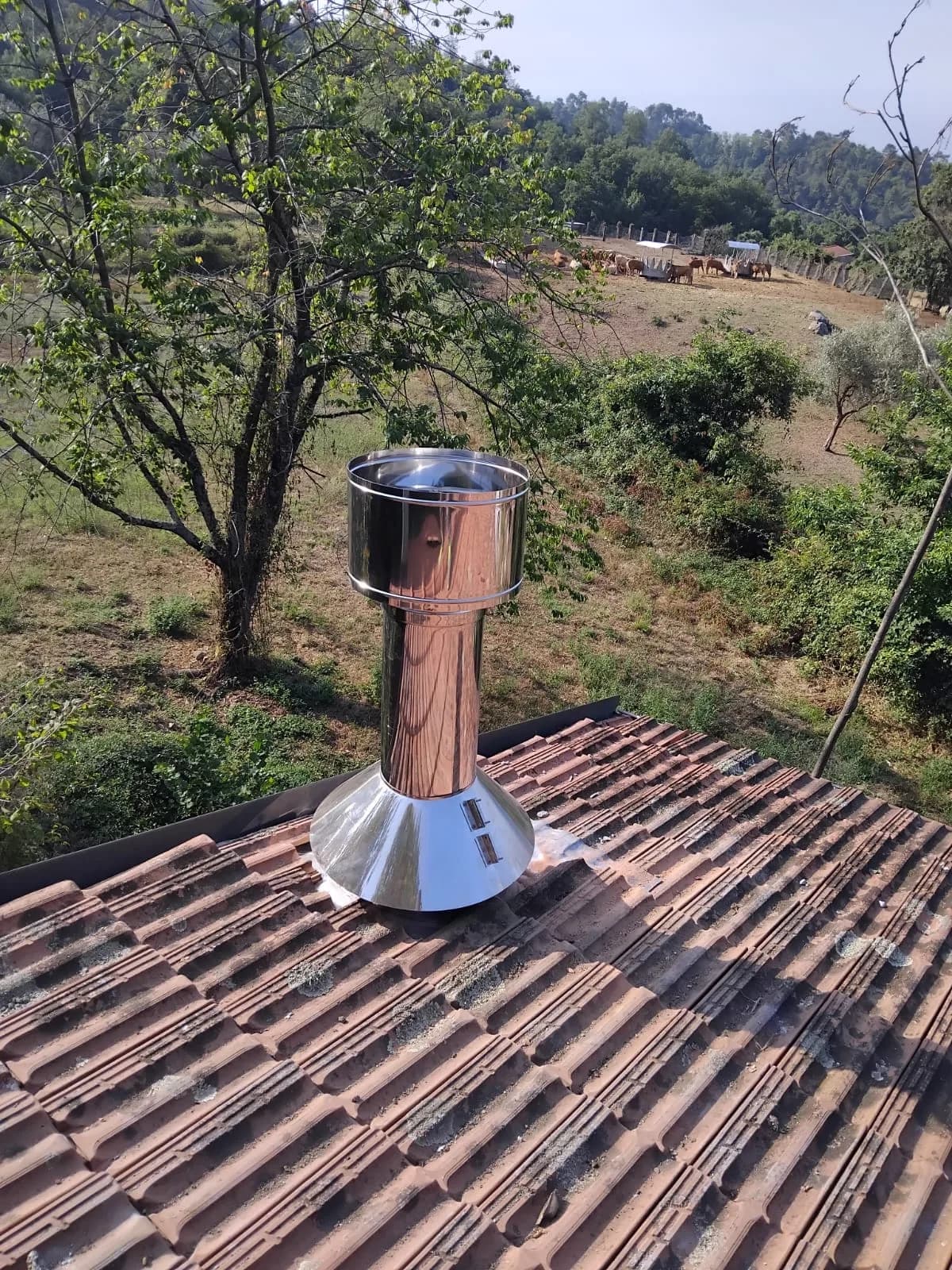 Dettaglio del terminale in copertura